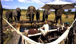 Victoria Falls and Hwange Package